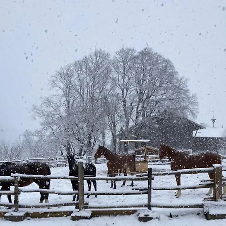 Schernhof Hoamatzeit - Tiroler Bauernhof Lejlighed