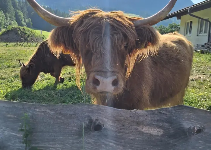 Schernhof Hoamatzeit - Tiroler Bauernhof Lejlighed Söll