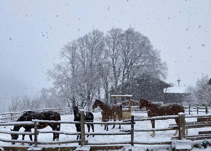 Schernhof Hoamatzeit - Tiroler Bauernhof Lägenhet